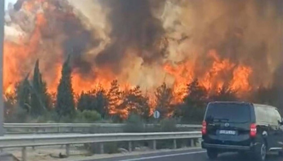 İzmir’de orman yangını