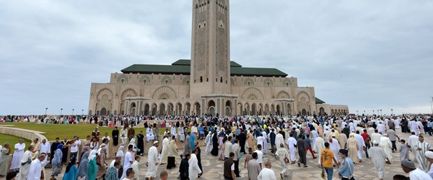 fas cami.jpg