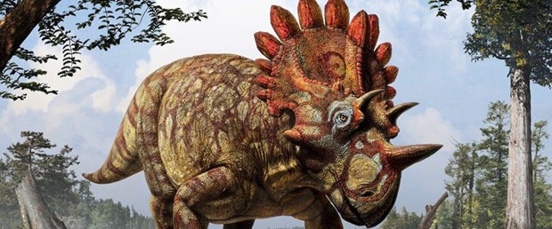 dinozor.jpg