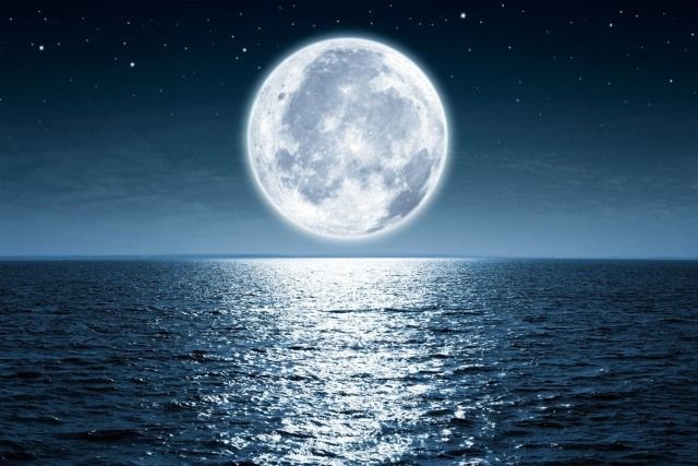 NASA, Astronot, Astronot olmak istiyorum, Nasıl astronot olunur, Astronomi, Gezegen, Mars, Test, Uzaylı, Bilim
