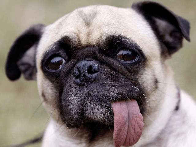 kalem kac kilometre yazi yazar