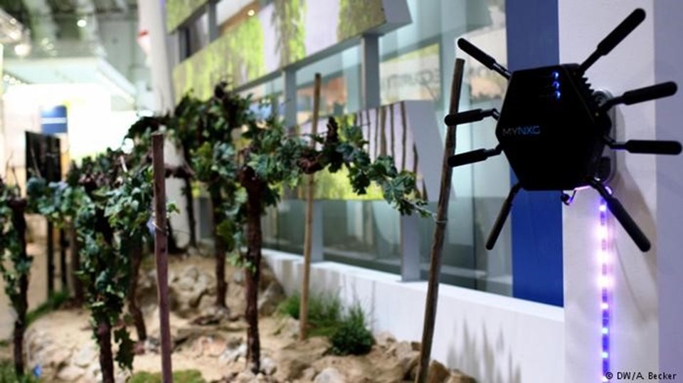 Intel'in geliştirdiği sistem, şarap bağlarına dijital denetim getiriyor