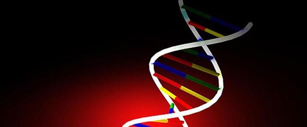 crispr-ile-dnadan-sonra-rna-duzenlenebilecek,LtckjfCHIUmDBiaRHnGCmw.jpg