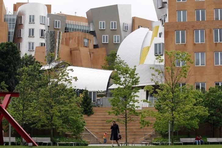 Stanford Üniversitesi