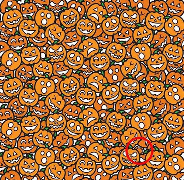 ,3yscn5_P3kmbtZVzxBDtPw.jpg?w=960&mode=m