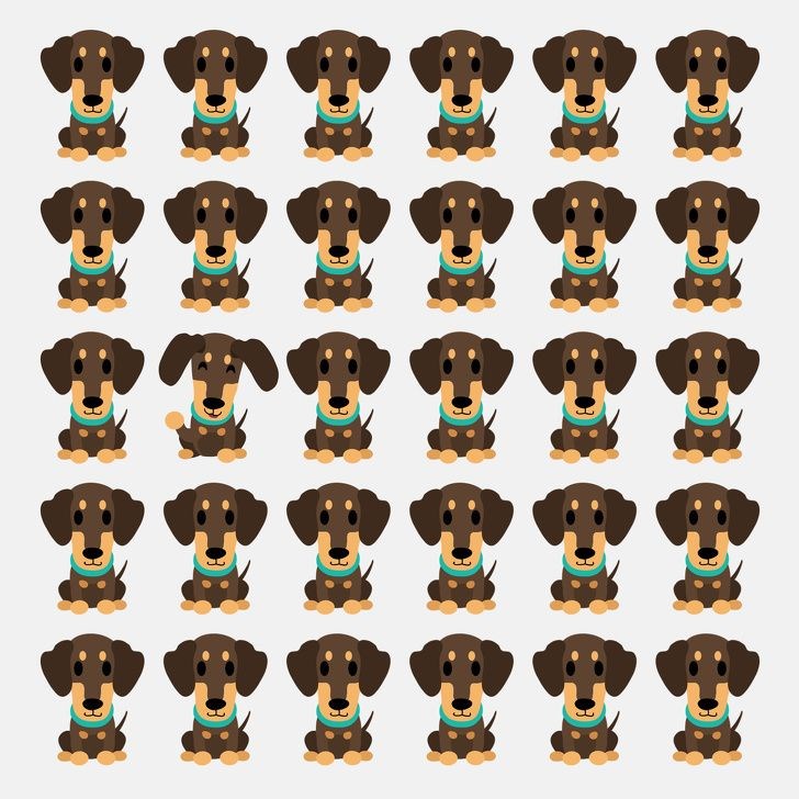 ,8oAxj25U8UGTp9FUhKm2bw.jpg?w=960&mode=m