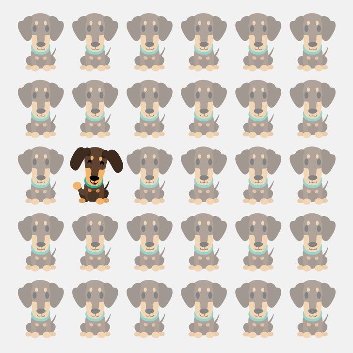 ,Dxrfssg1ekmQJ1KgNy0Dag.jpg?w=960&mode=m