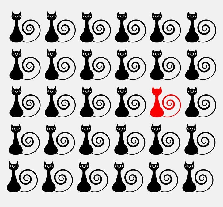 ,ODuBQ81yZEujZRt44niVIg.jpg?w=960&mode=m