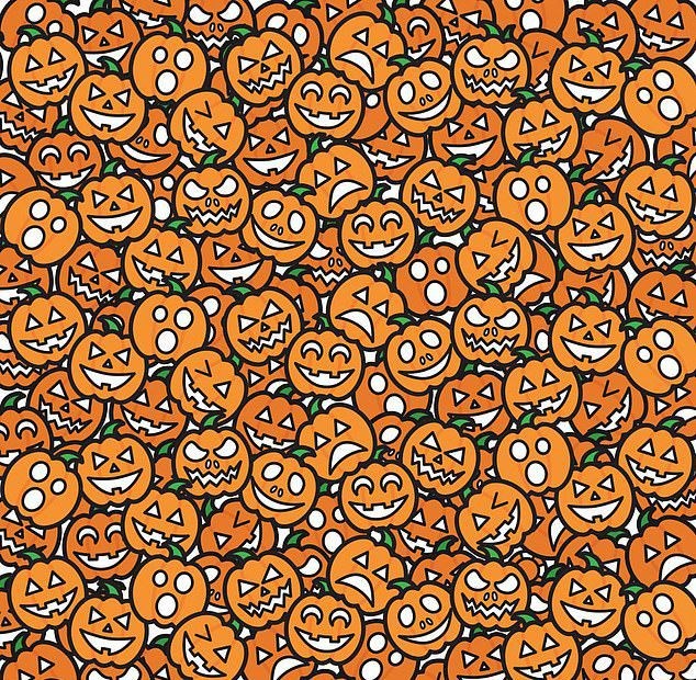 ,PcCTf3QBKUaDejXONQTfWA.jpg?w=960&mode=m