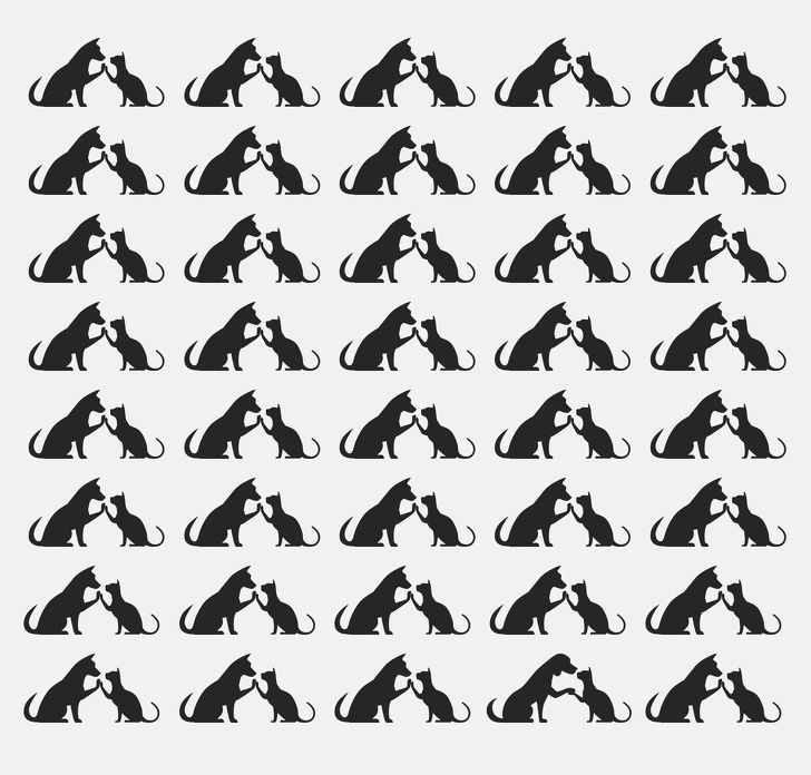 ,RQvFkWQ2z0qC1tfOq-6lbg.jpg?w=960&mode=m