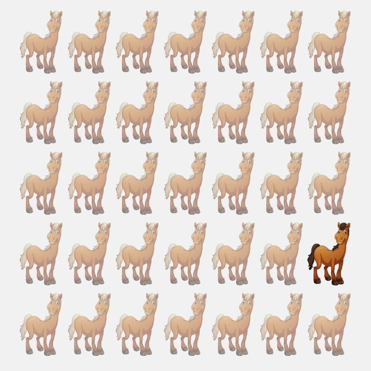 ,_f3b5Iy3fUqJ3f4w15_l4A.jpg?w=960&mode=m