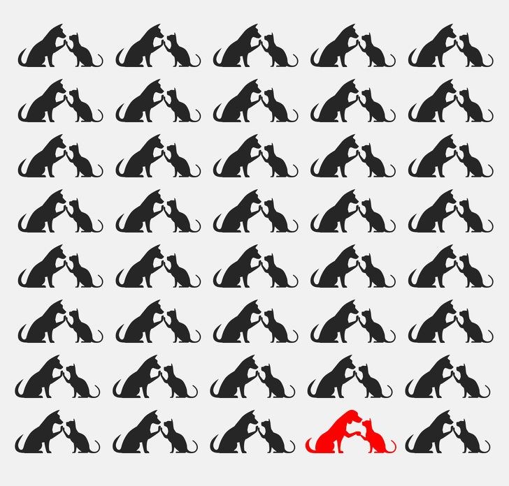 ,kuOek0rEmESNvwoCqXkYtg.jpg?w=960&mode=m