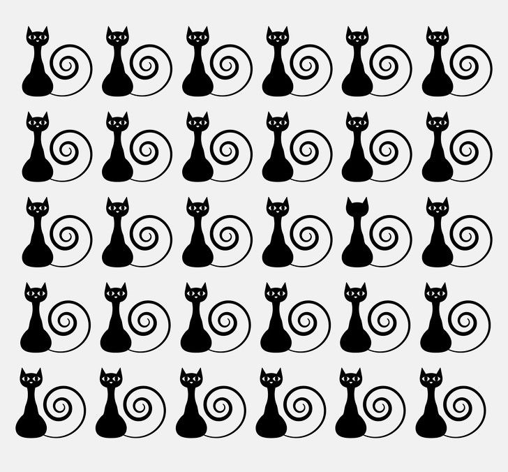 ,uc-E7coL0kyi53uvWuCsTA.jpg?w=960&mode=m