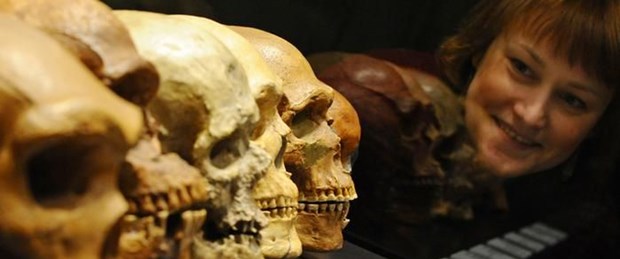 Neandertal.jpg