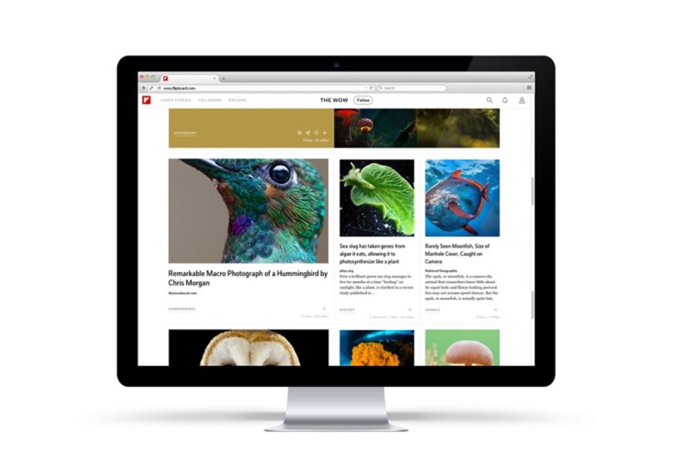 2010’da ABD Kaliforniya’da kurulan Flipboard, artan üye sayısıyla sosyal medyanın en dikkat çeken uygulamalarından biri olarak görülüyor.