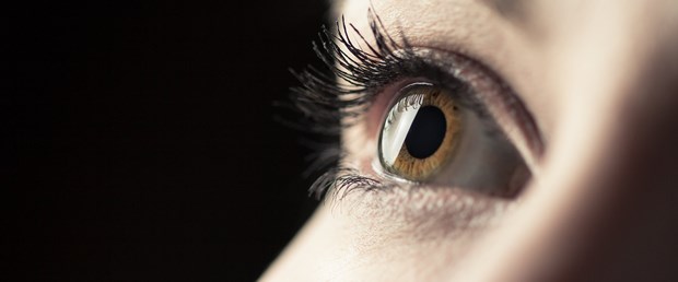 retina
