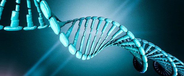 dna.jpg
