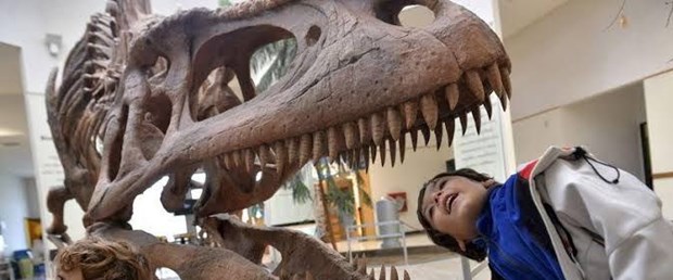 trex2.jpg