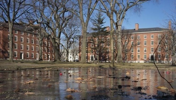 harvard.jpg