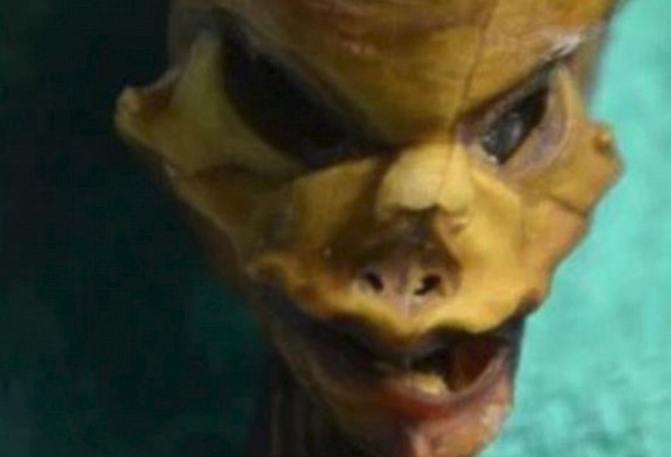 "Ata" the mummy, Mumya, Arkeoloji, Genetik, Şili, Dünya, Bilim