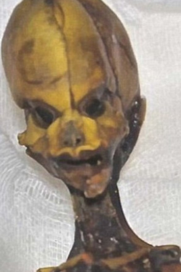 "Ata" the mummy, Mumya, Arkeoloji, Genetik, Şili, Dunya, Bilim