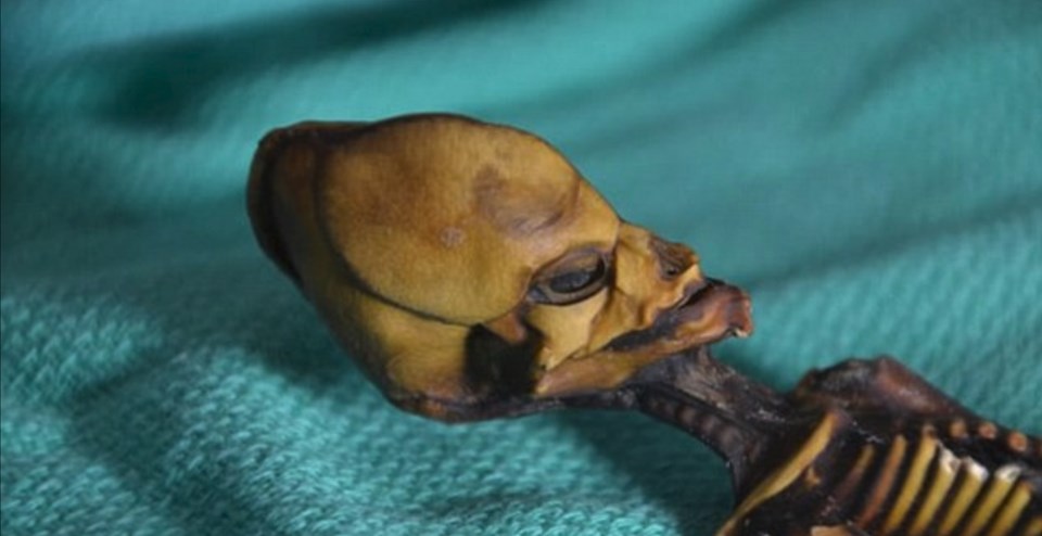 "Ata" the mummy, Mumya, Arkeoloji, Genetik, Şili, Dünya, Bilim