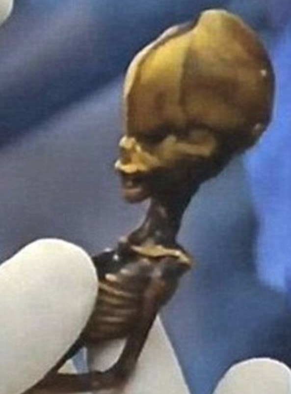 "Ata" the mummy, Mumya, Arkeoloji, Genetik, Şili, Dunya, Bilim