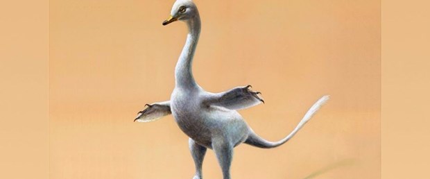 dino.jpg