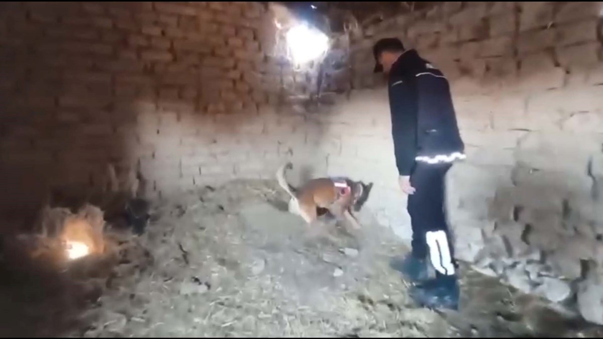 Arama çalışmalarında kadavra köpekleri de kullanıldı.