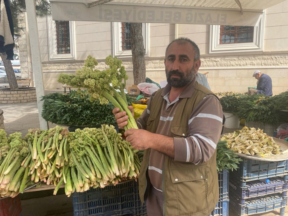 Şeker, kalp ve sarılığa yeterli geldiğine inanılıyor: Dağlarda yetişen doğal şifa tezgahta 72 tfjyi1Eg3kKphaQhOG9w1A