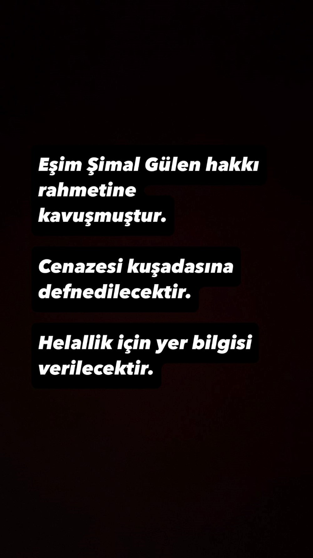 Şarkıcı Şimal hayatını kaybetti - 4