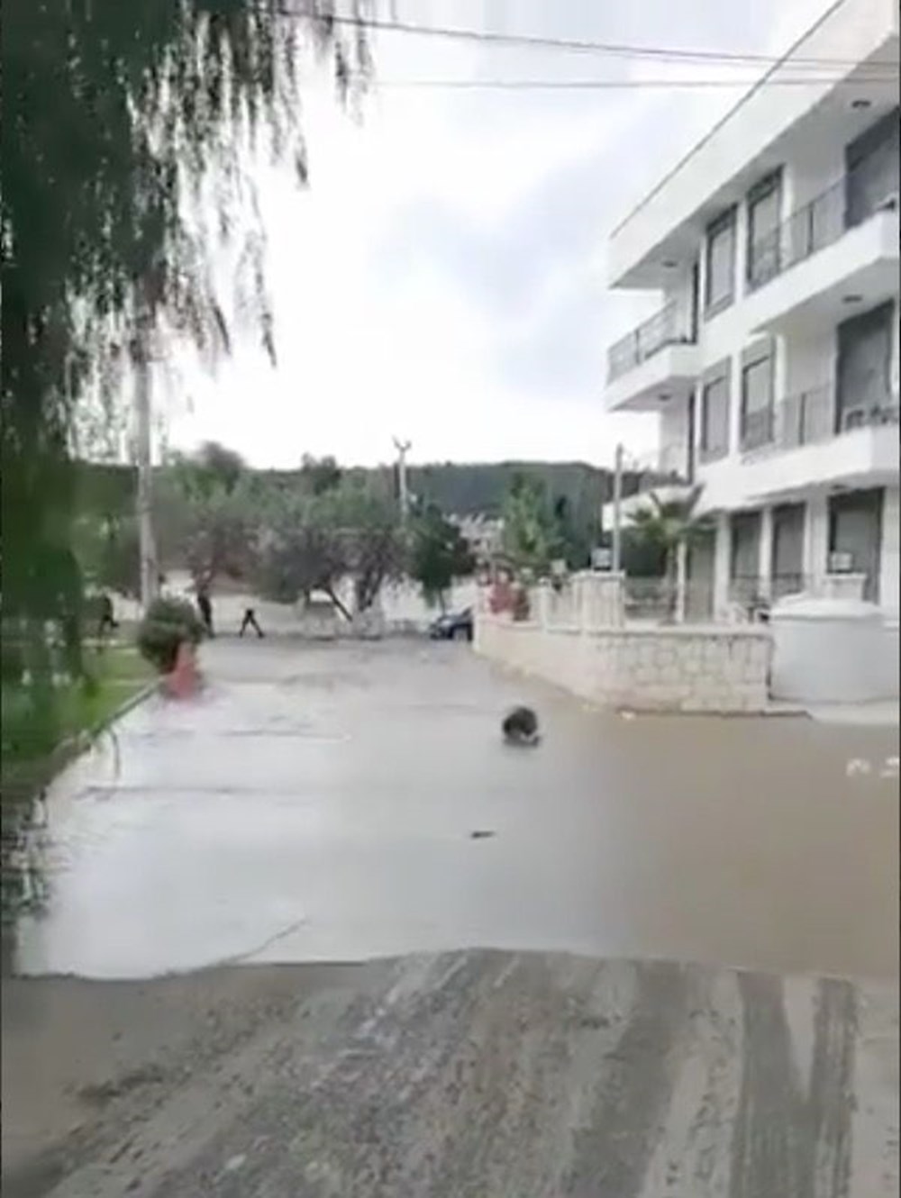 Seferihisar'da tsunami: Sokakları deniz suyu bastı - 5