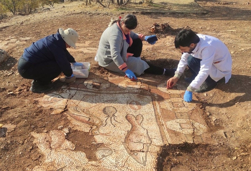 Mardin'de kurtarma kazısında deniz canlıları figürlü mozaikler bulundu - 4
