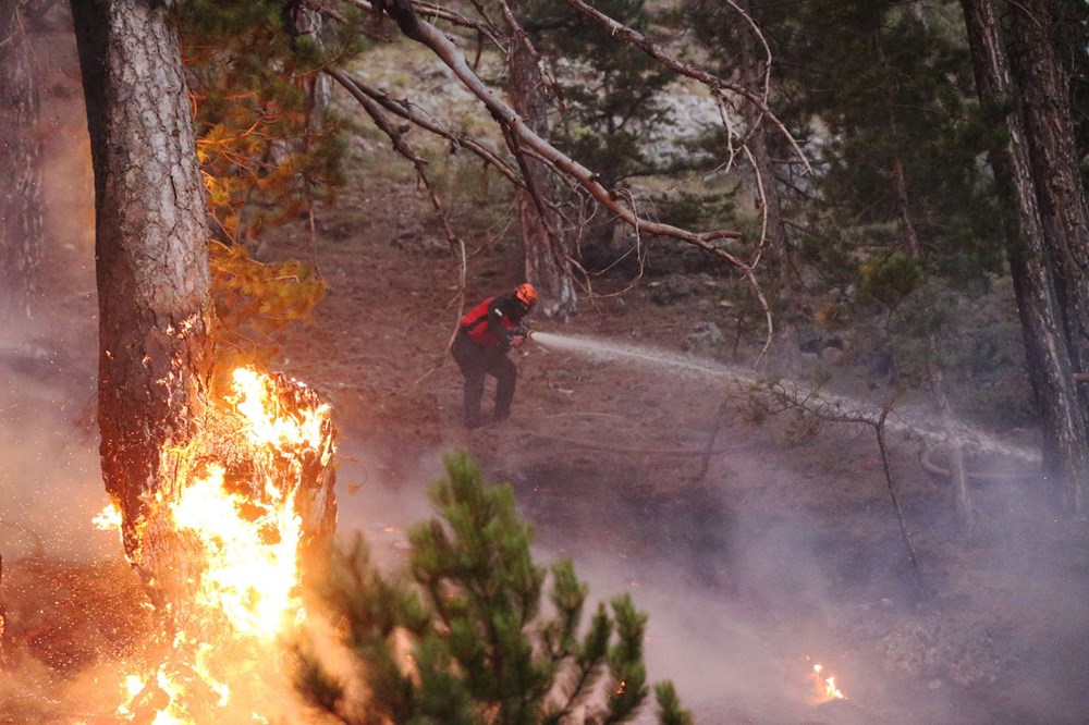 Türkiye güne yangınla başladı... 2 ilde orman yangını: Sıcaklıklar artıyor, iki güne dikkat! - 5