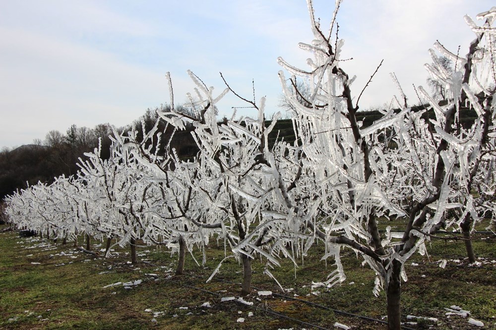 ti4J8v TJEmY0ek8TLD3Yw