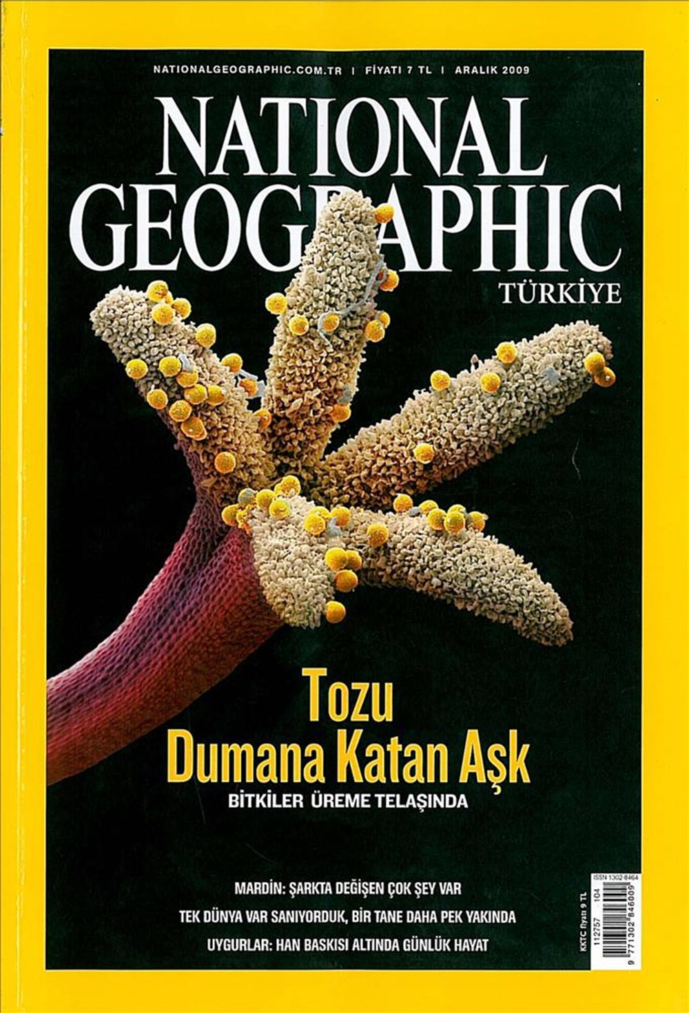 Ölüm ve yaşam arasındaki sınırlar - 1