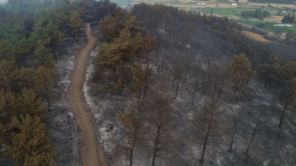 Çanakkale'de yangının boyutu gün ağarınca ortaya çıktı - 1