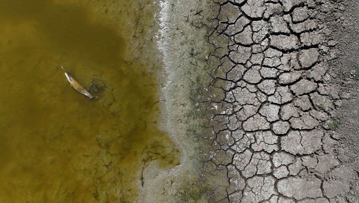 Müsellim Göleti kurudu