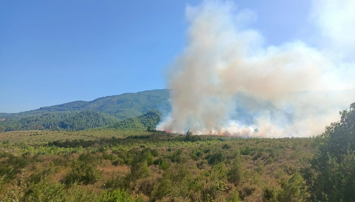 Burdur'da orman yangını çıktı