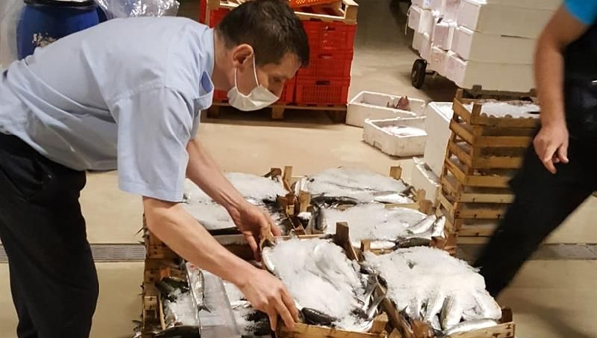 İstanbul'da haldeki denetimde yarım ton balığa el konuldu