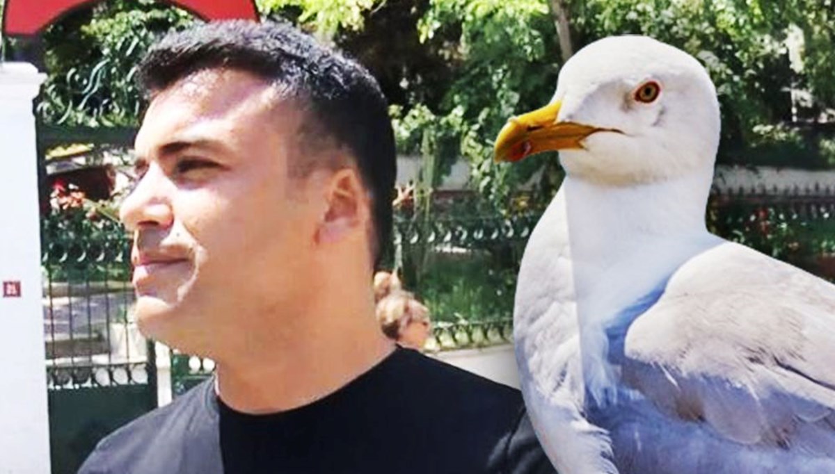Martının kaptığı kulak davasında karar belli oldu Martının kaptığı kulak davasında karar belli oldu