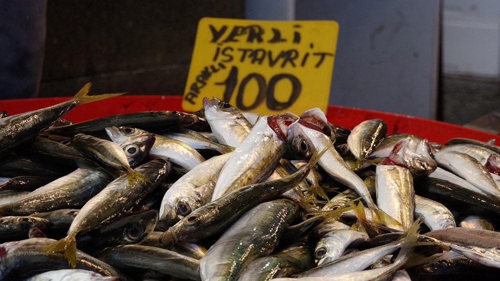 Balık avı başladı, istavritin fiyatı yarıya düştü - 2