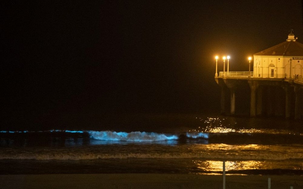 Kuzey ışıkları yeryüzüne indi: Yeni Zelanda'da 'deniz aurora'sı gözlemledi - 3