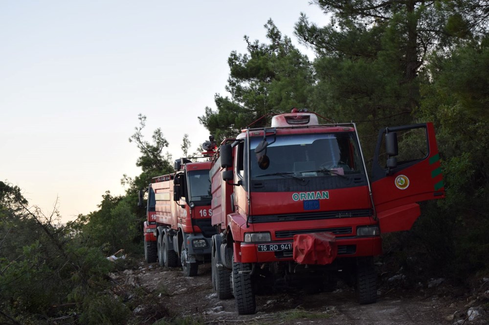 Bilecik'te iki gün önce çıkan orman yangınına müdahale sürüyor - 5