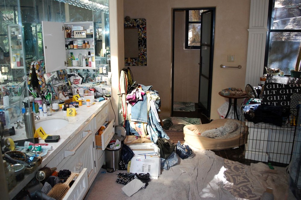 Görkemli malikanenin tüyler ürperten son hali | Ünlü çiftin evi virüs yuvası oldu - 5