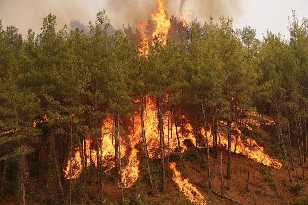 Antalya'da ormanlara giriş yasağı uzatıldı - 5