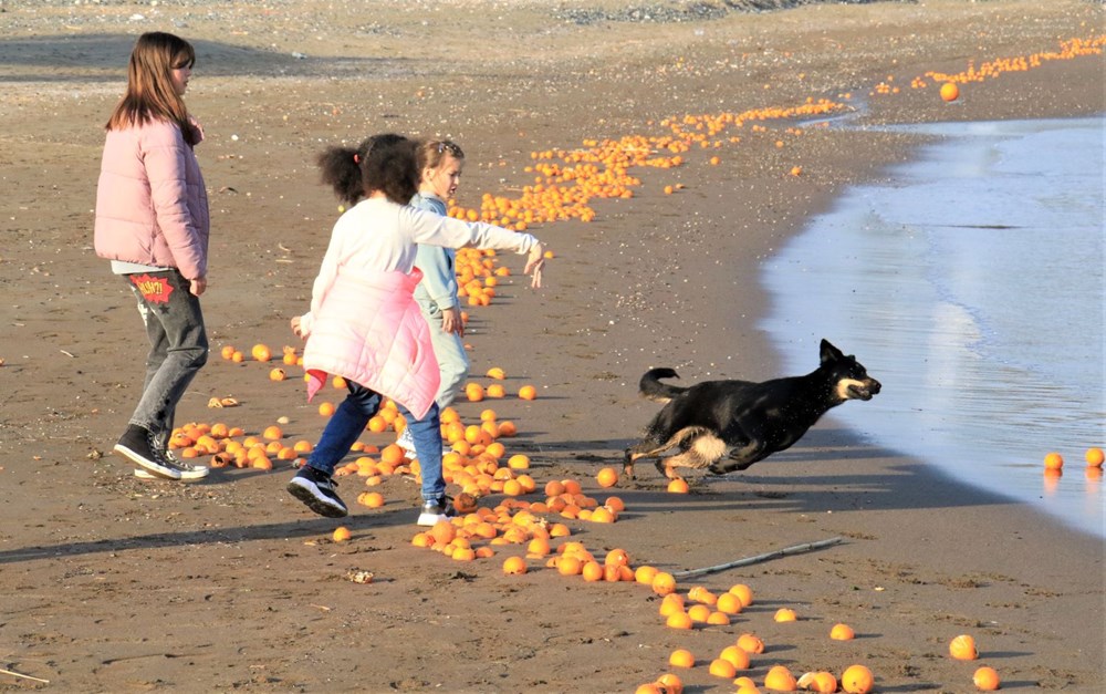 Mersin'de sahile portakal vurdu - 5