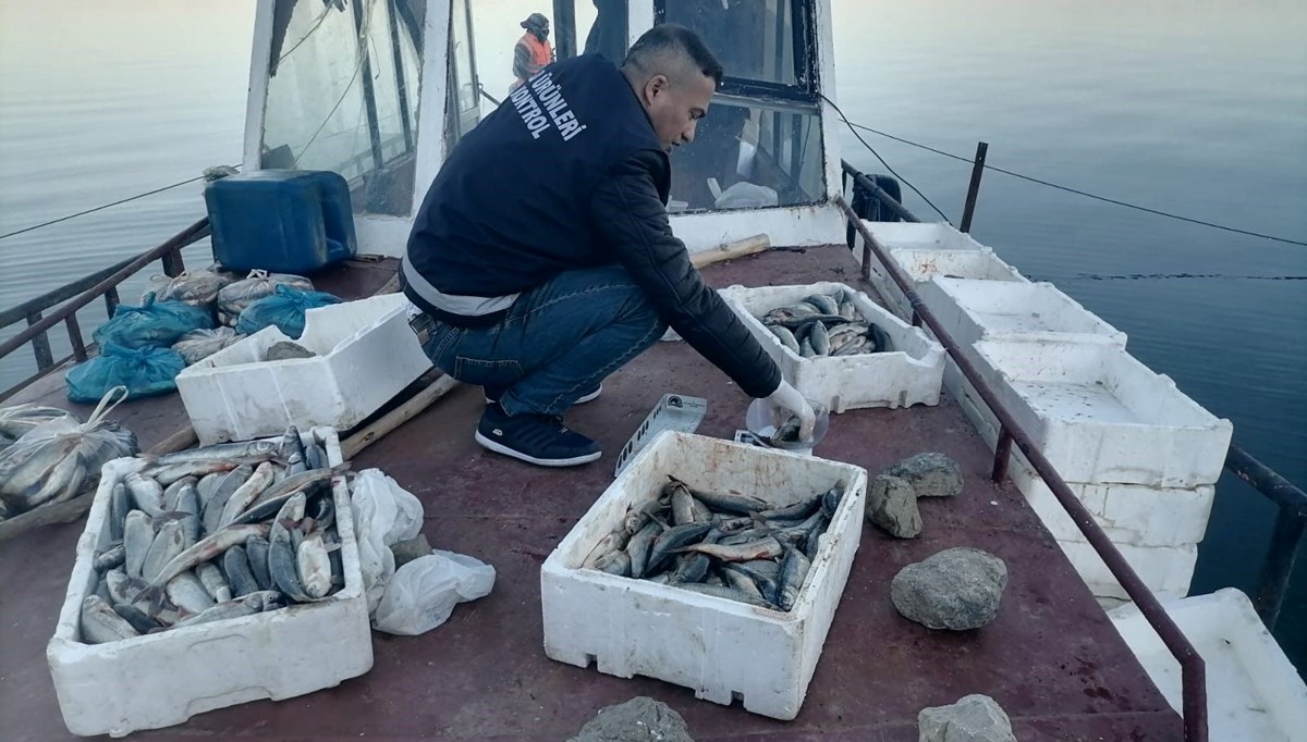 Van'ın ikinci büyük gölü Erçek'te inci kefali bereketi Van'ın ikinci büyük gölü Erçek'te inci kefali bereketi