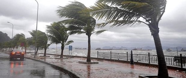 orta karadeniz yağmur meteoroloji010216.jpg