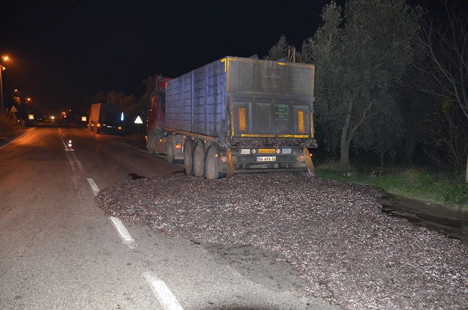 Kapağı açılan tır kasasındaki 15 ton hamsi yola döküldü Kapağı açılan tır kasasındaki 15 ton hamsi yola döküldü